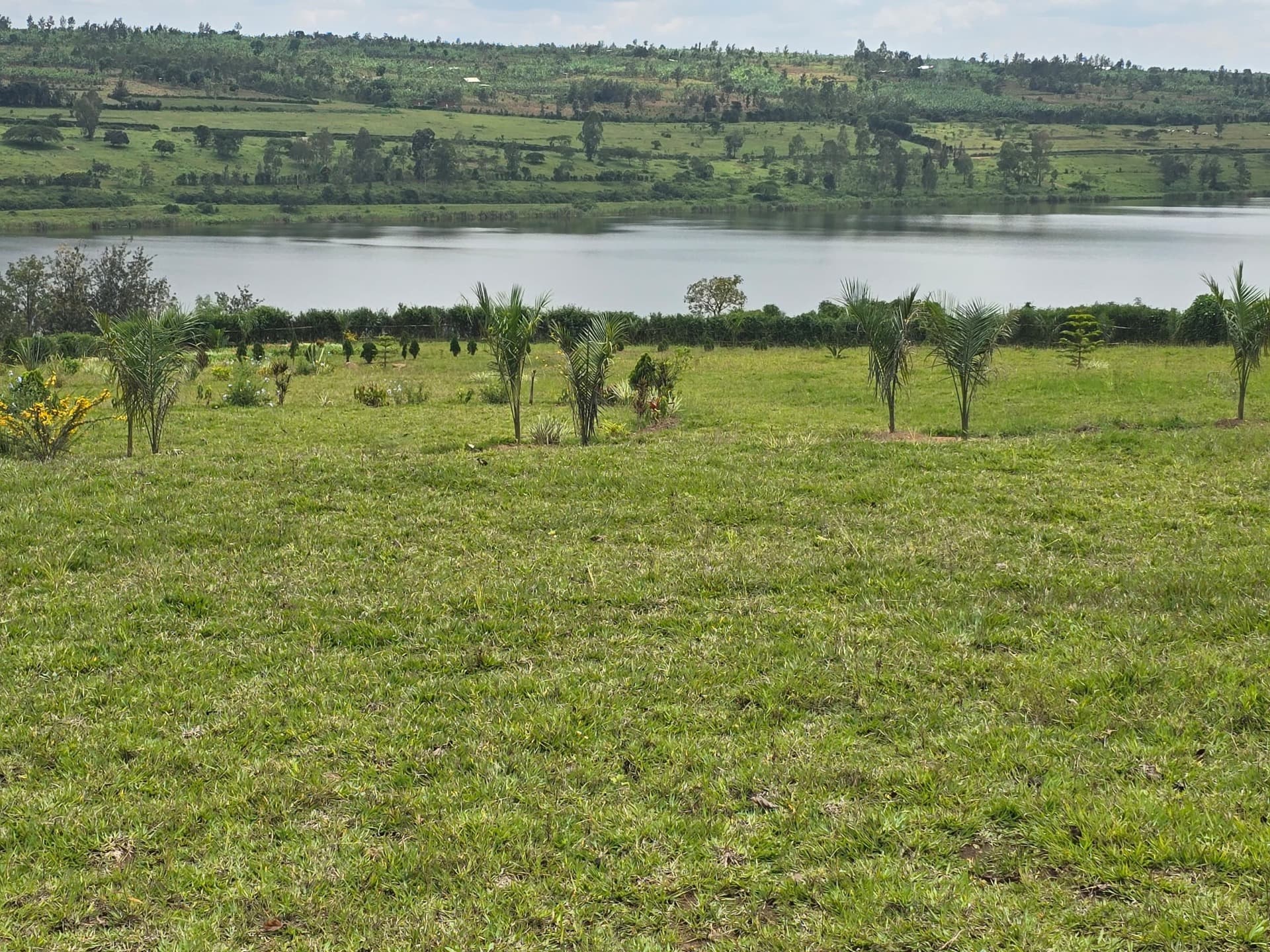 LAND FOR SALE IN MUHAZI - view 2